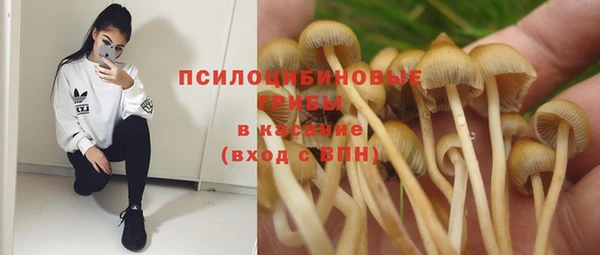 бошки Арсеньев