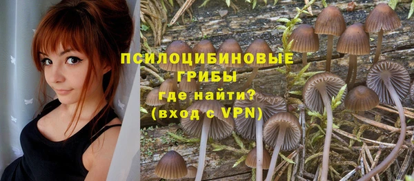 бошки Арсеньев