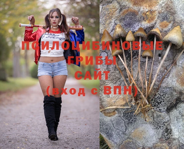 а пвп мука Приозерск