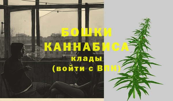 бошки Протвино