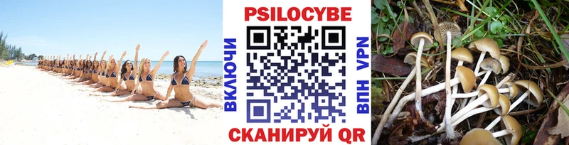 Псилоцибиновые грибы прущие грибы  MEGA рабочий сайт  площадка Telegram  Асбест 